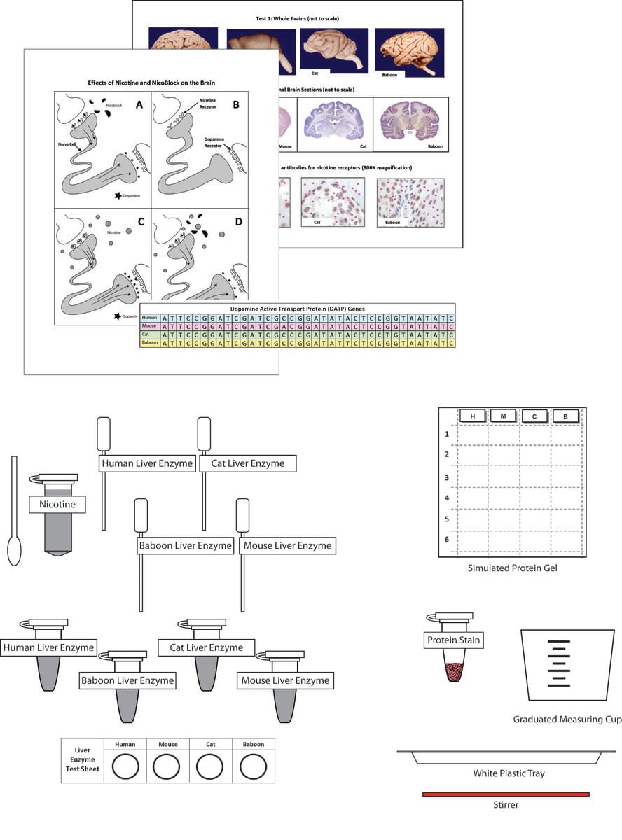 Science Take-Out® Use Of Animals For Medical Testing