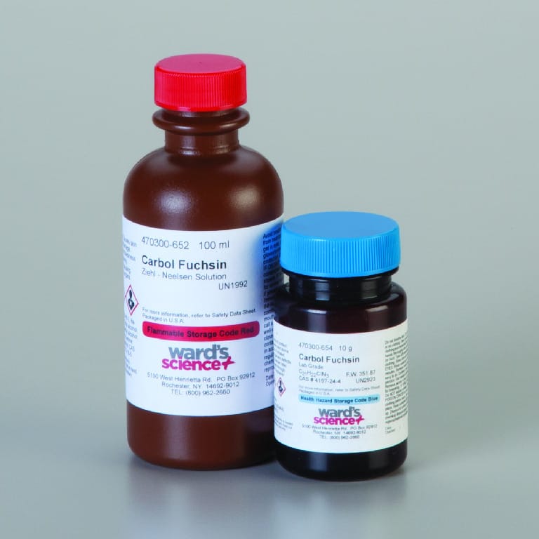Carbol Fuchsin Stain