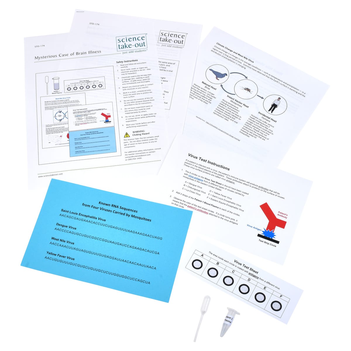 Science Take-Out® Mysterious Case of Brain Illness