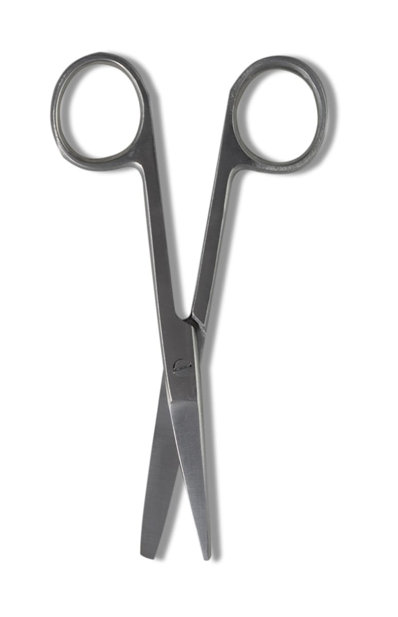 Surgical Style Scissors