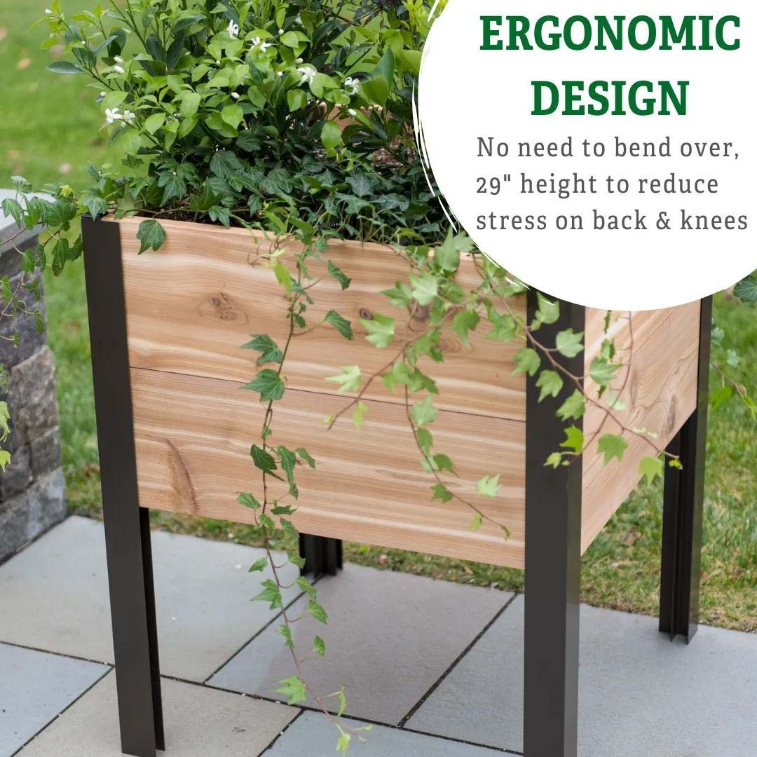 Gardener's Supply Company Elevated Cedar Planter Boxes