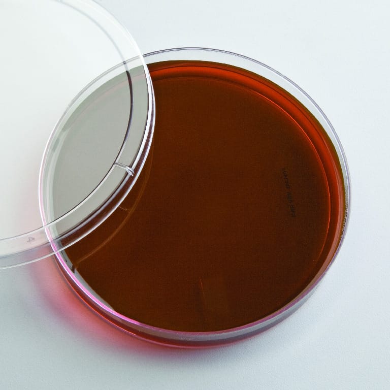 Prepared Eosin Methylene Blue Agar (EMB) Media