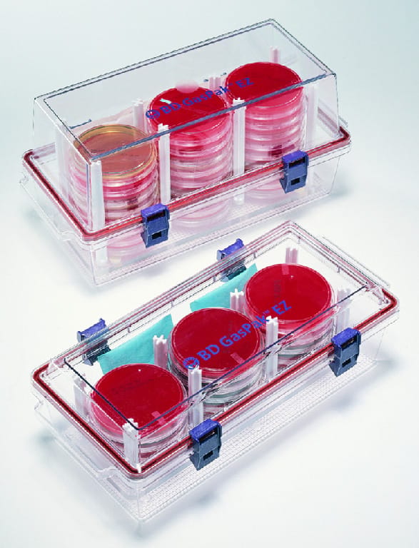 BD GasPak™ EZ Container Systems, BD Diagnostics | VWR, part of Avantor