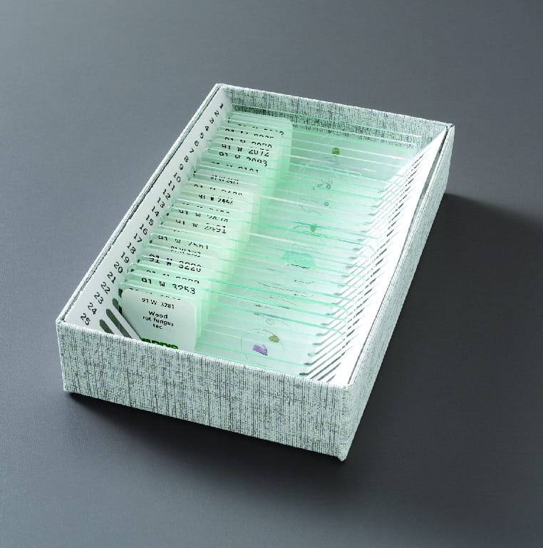 Plant Pathology Set
