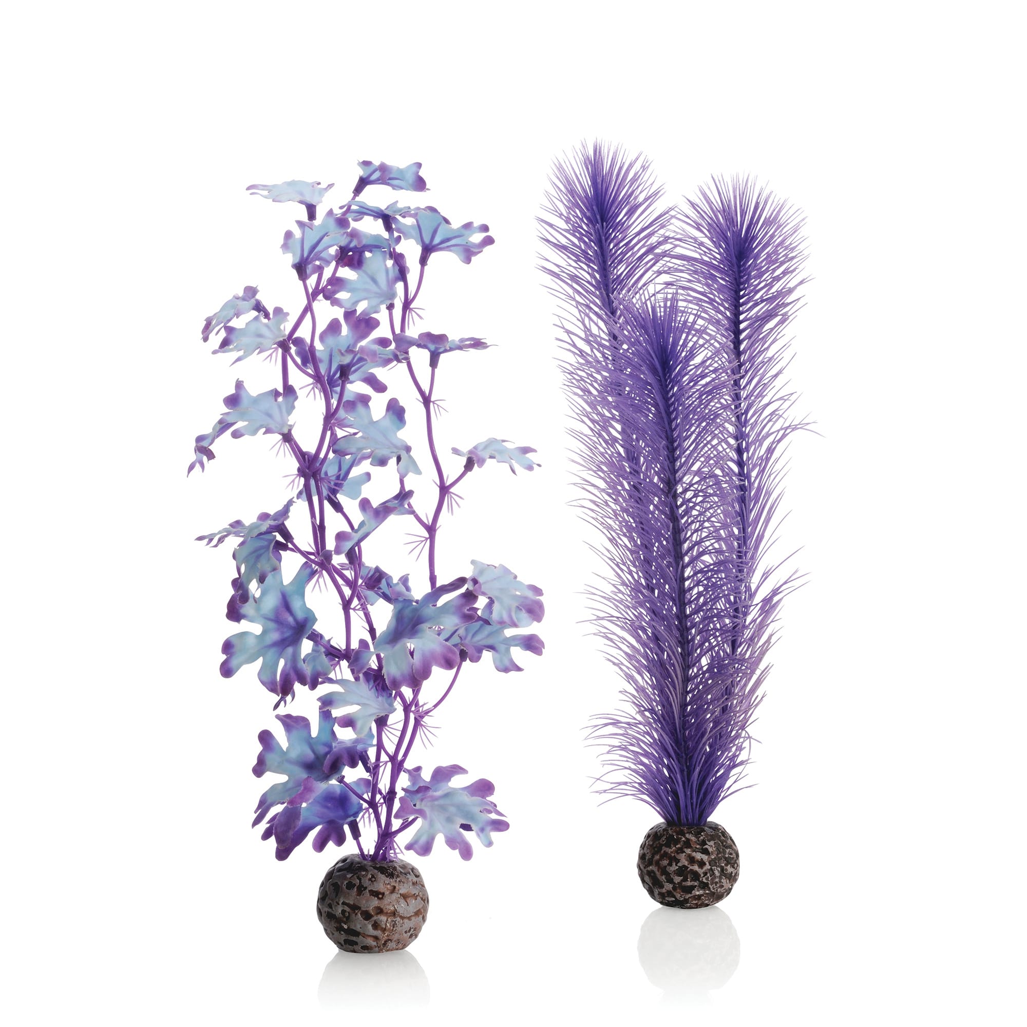 biOrb® Easy Plant Sets