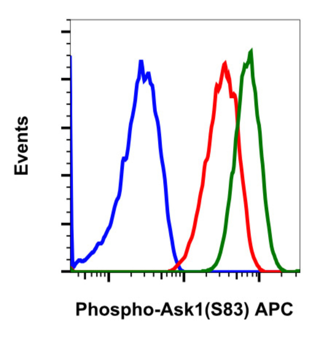 Anti-ASK1 (phospho S83) Rabbit Monoclonal Antibody [clone: Ask1S83-G4 ...