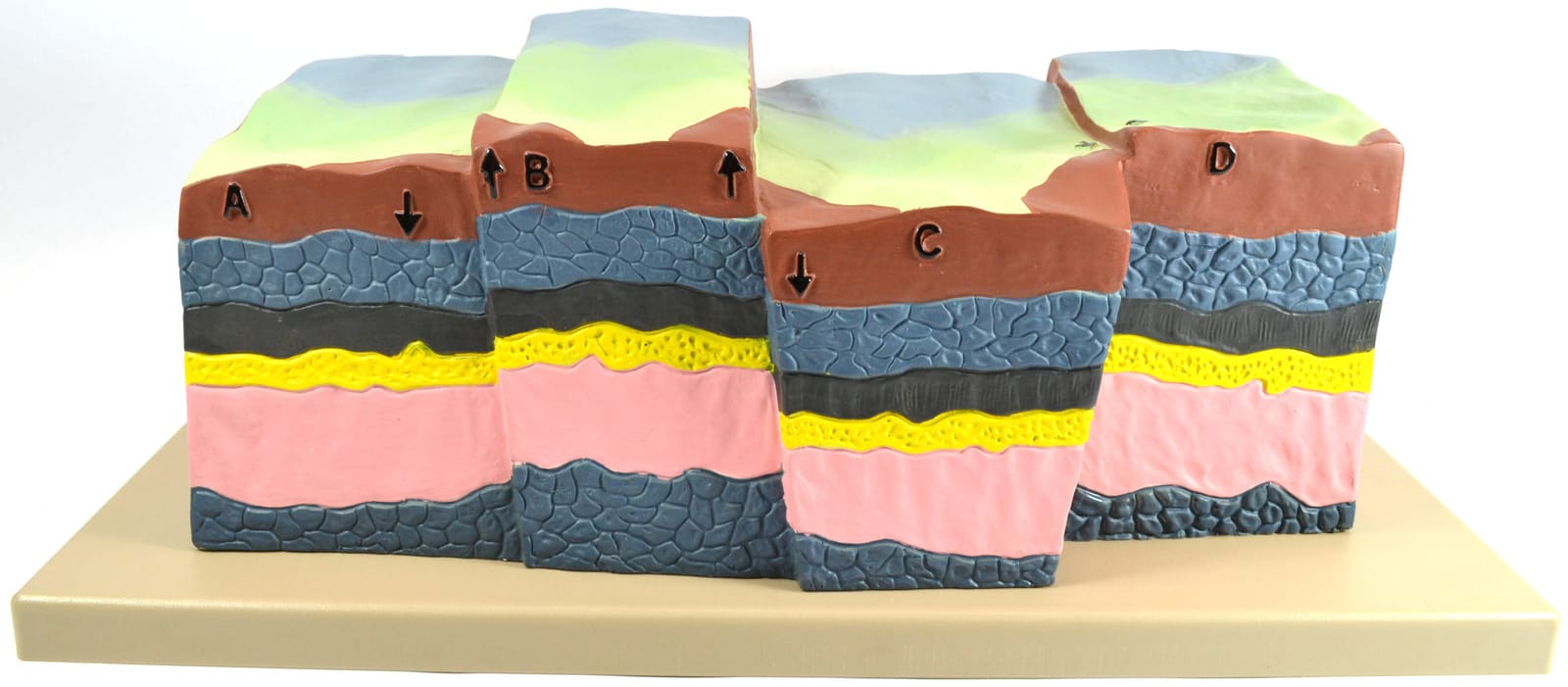 Eisco® Fractures, Faults, and Dislocations Model