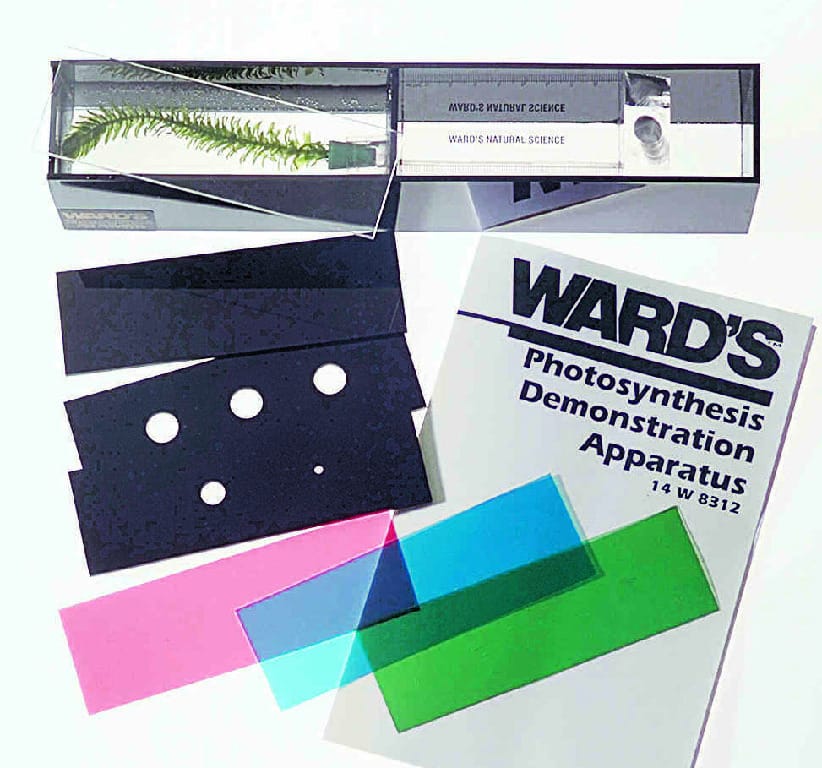 Ward's® Photosynthesis Demonstration