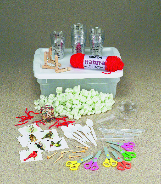 Ward's® Bird Beaks Lab Activity