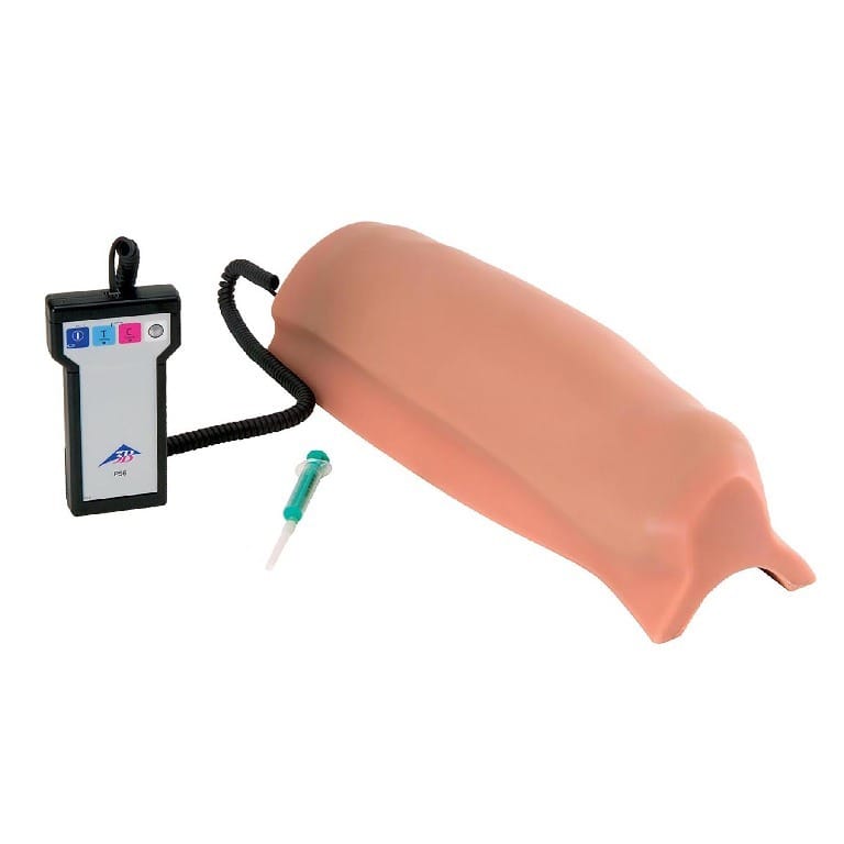 3B Scientific® Intramuscular Injection Simulators
