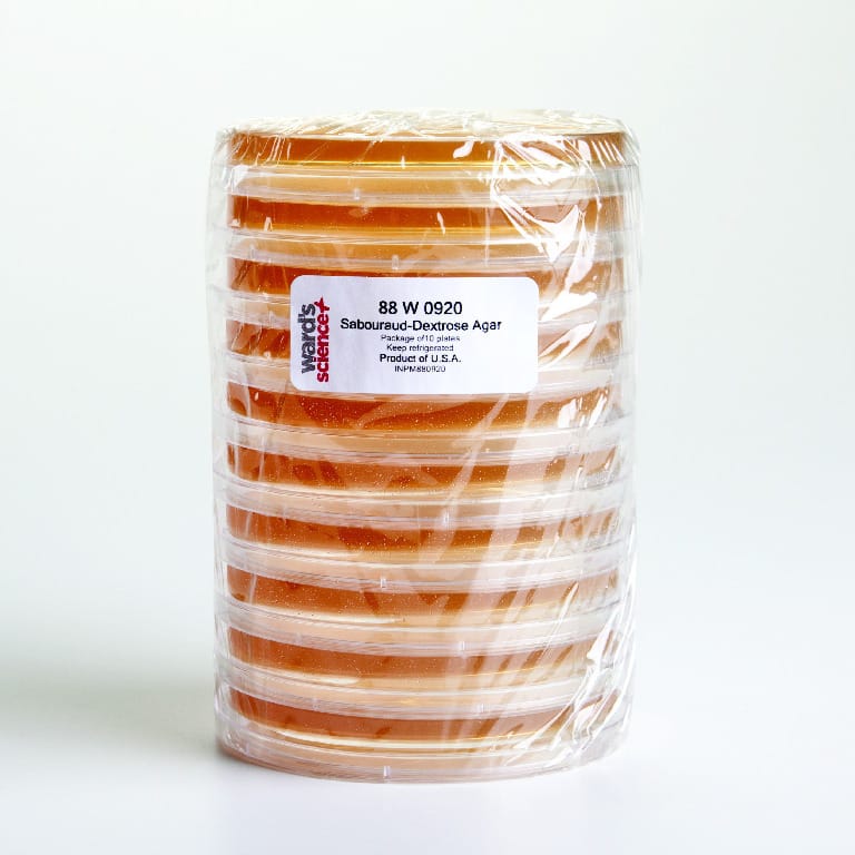 Ward's® Prepared Sabouraud Dextrose Media