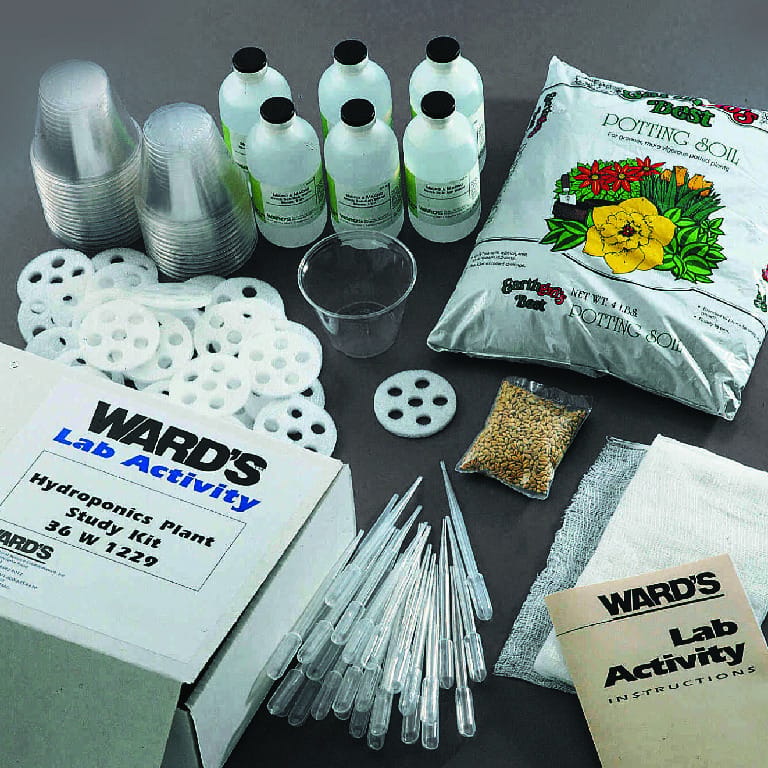 Ward's® Hydroponic Plant Study Lab Activity