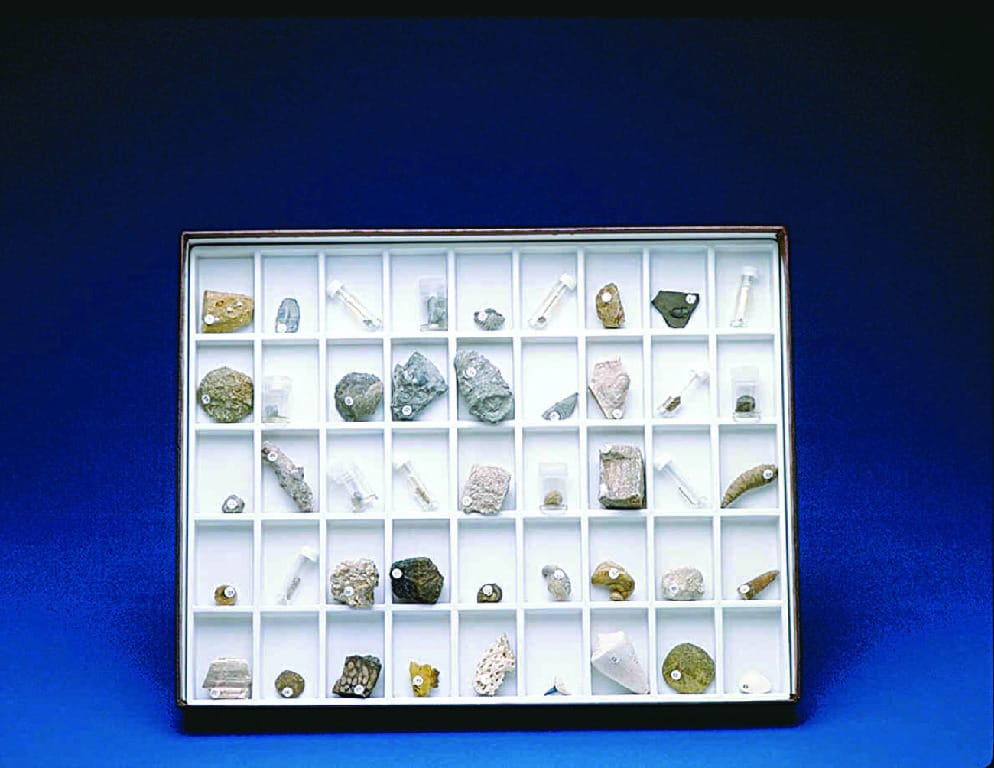 Student Stratigraphic Fossil Collection