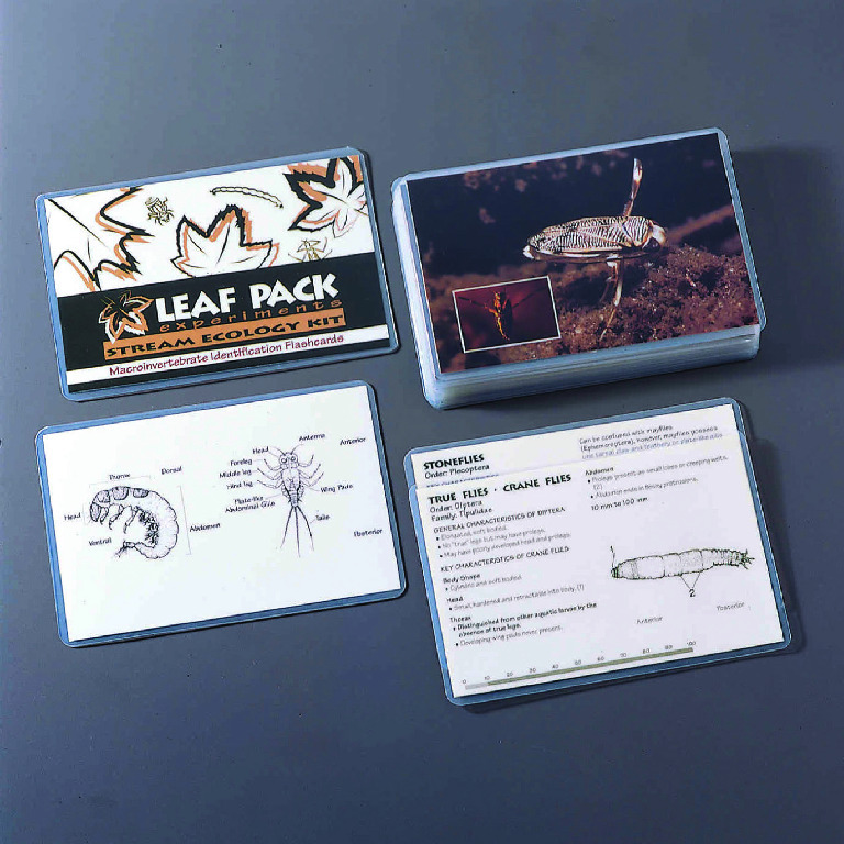 Leaf Pack Macroinvertebrate Flash Cards