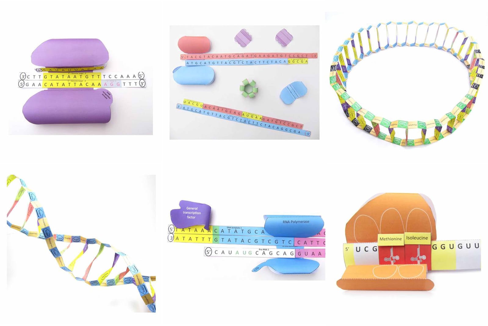 3D Modeling Sets