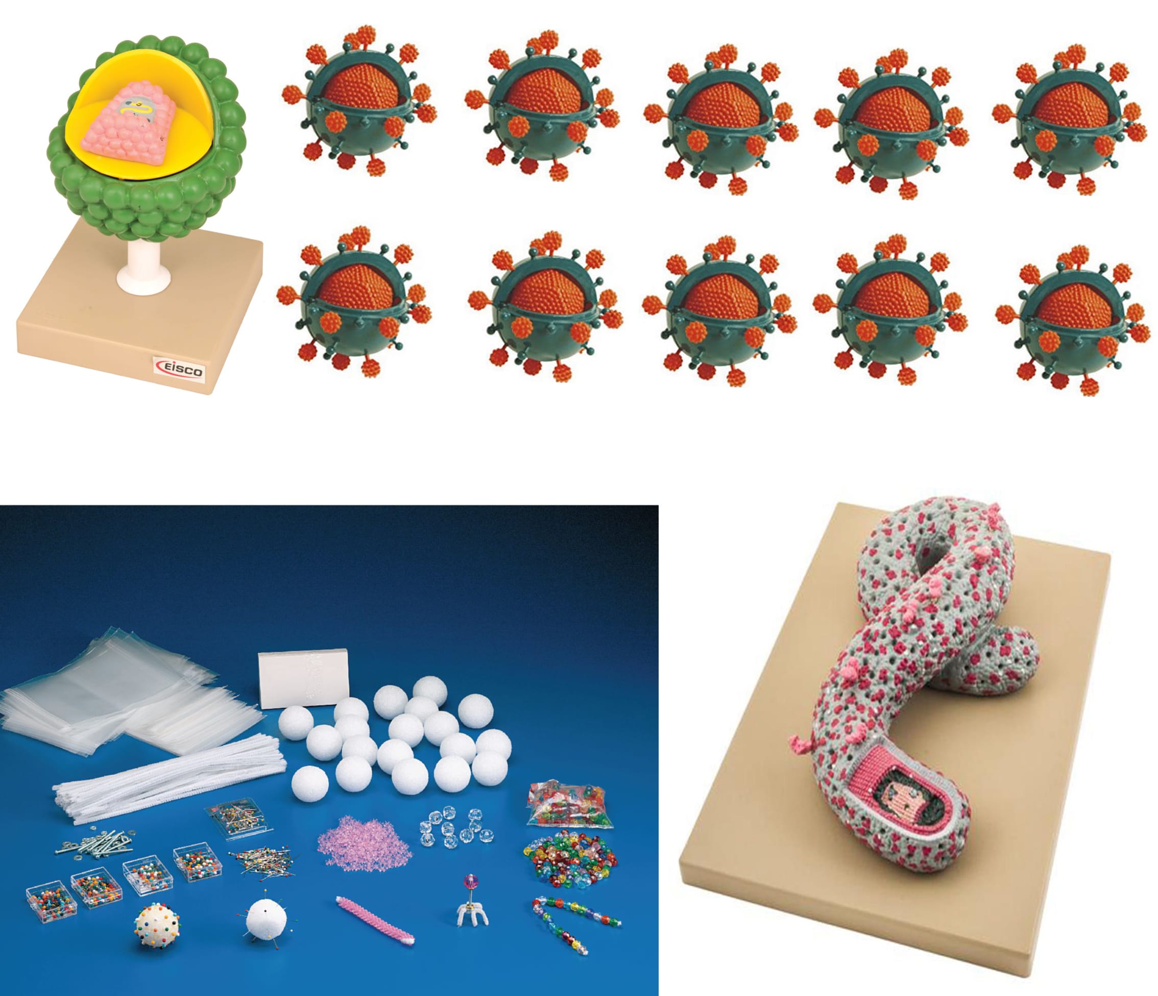 Virus Models Bundle
