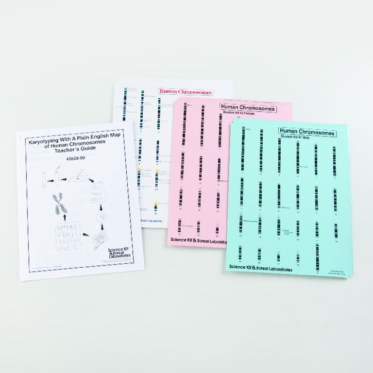 Karyotyping with Plain English Map of Human Chromosomes Kit
