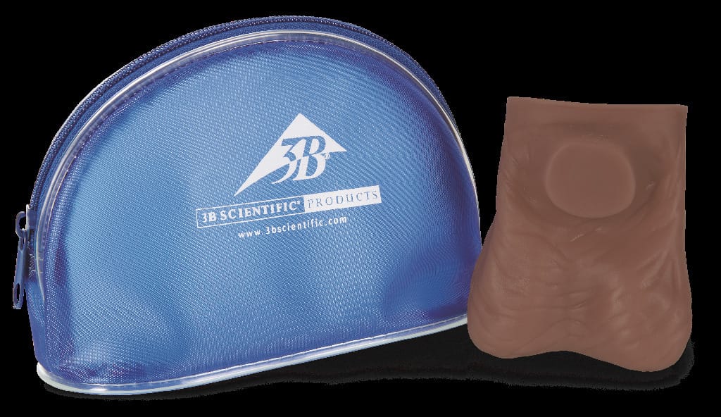 3B Scientific® Testicle Exam Model