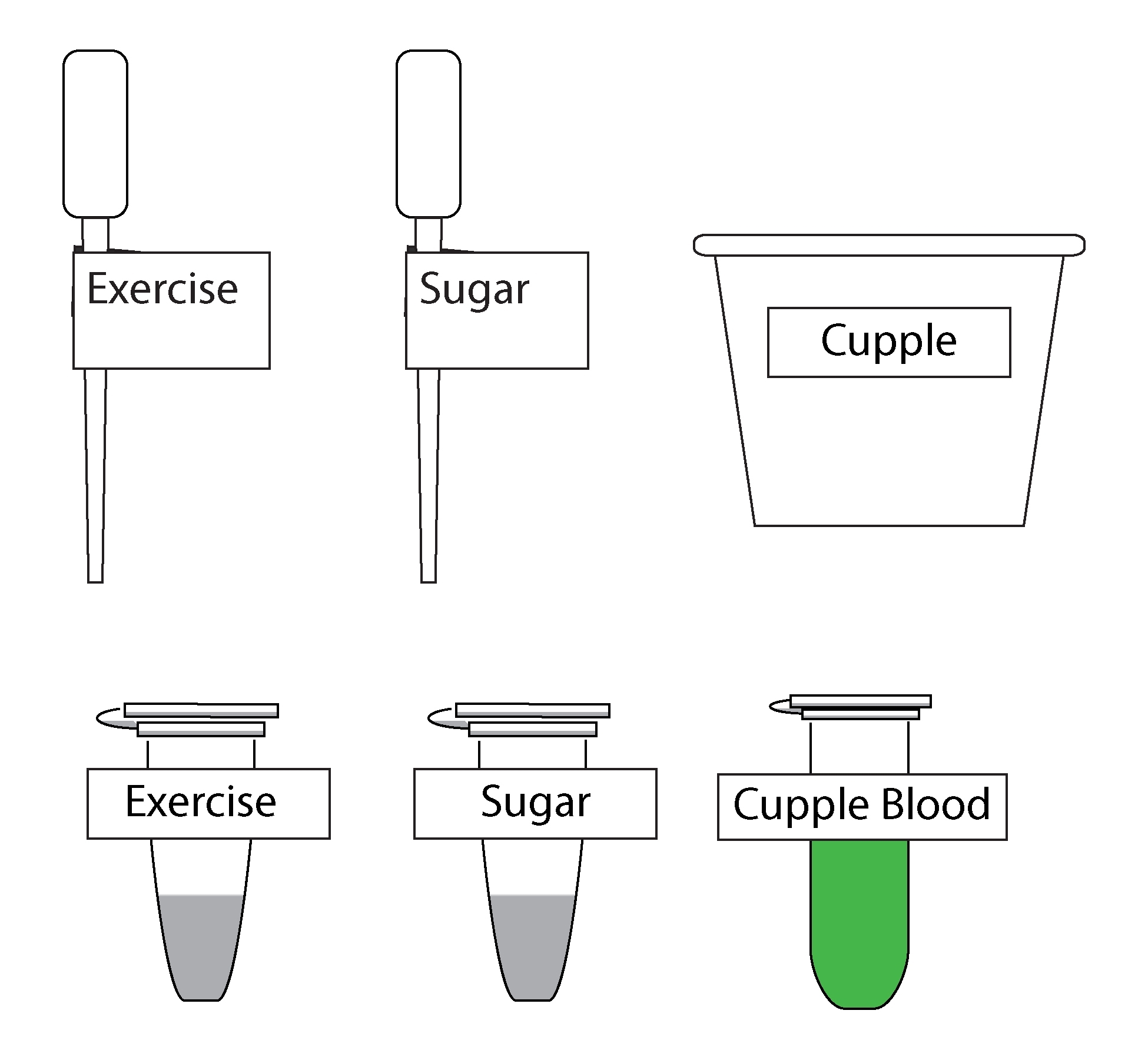 Science Take-Out® Keeping A Balance: Homeostasis And Negative Feedback