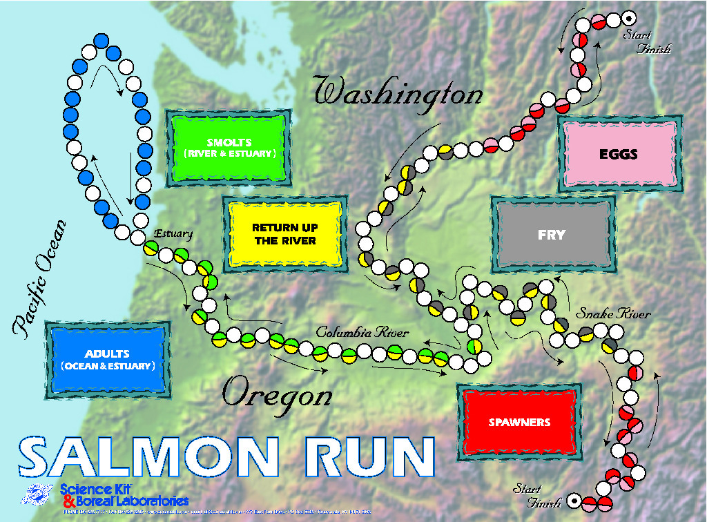 Salmon Run Game