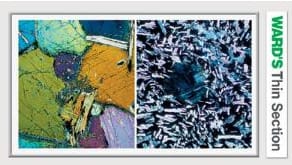 Ward's® Soapstone