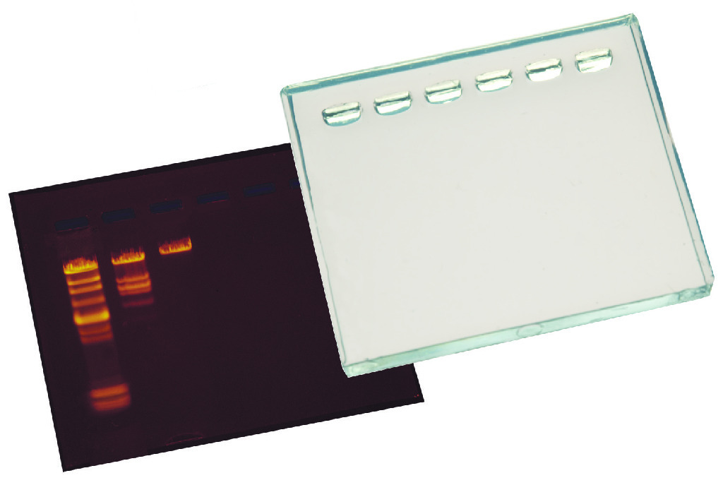 DNA GelSizer™