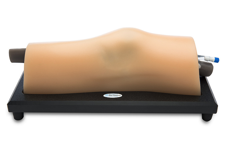 Blue Phantom® Musculoskeletal Knee Ultrasound Trainer