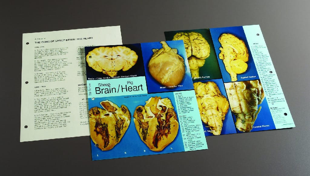 Biocam Concise Photographic Dissection Guides