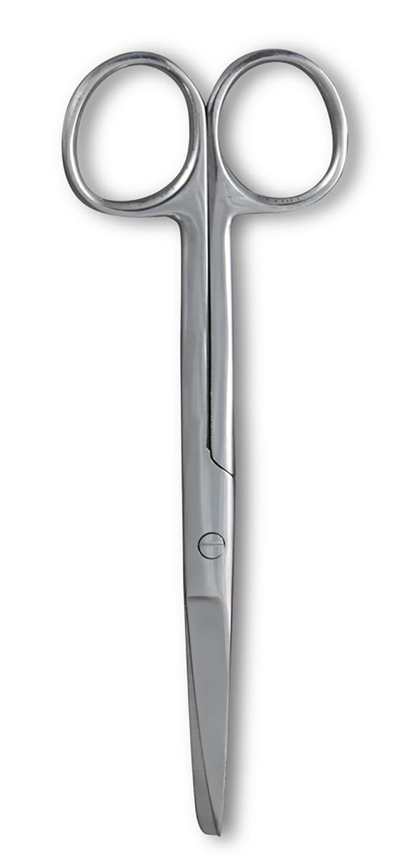 Surgical Style Scissors
