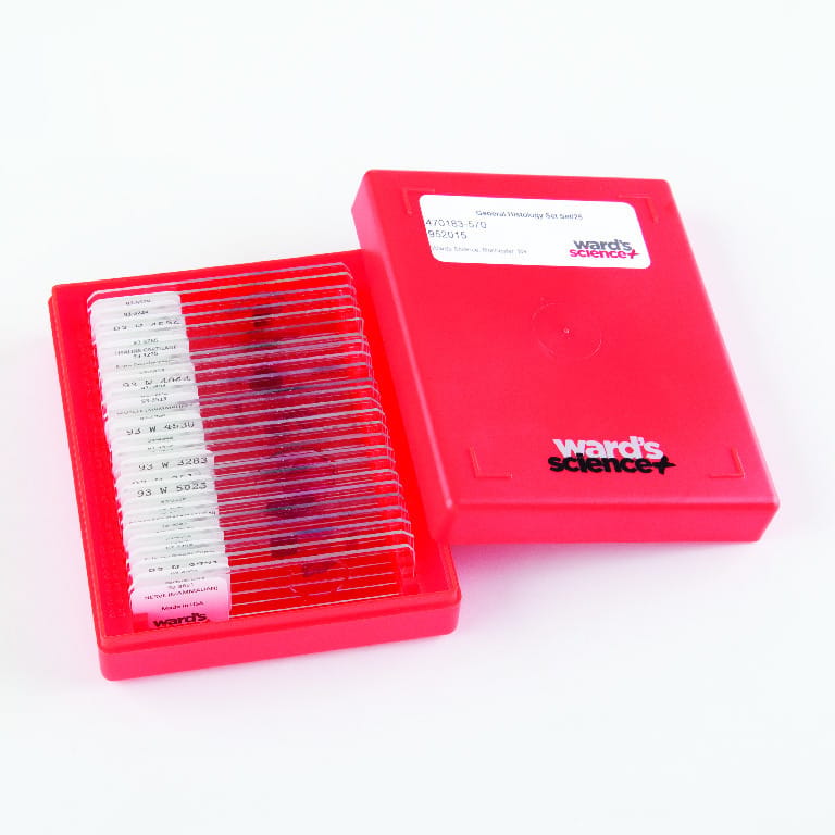 Introductory Histology Slide Set