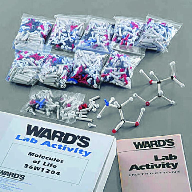 Ward's® Molecules Of Life Kit