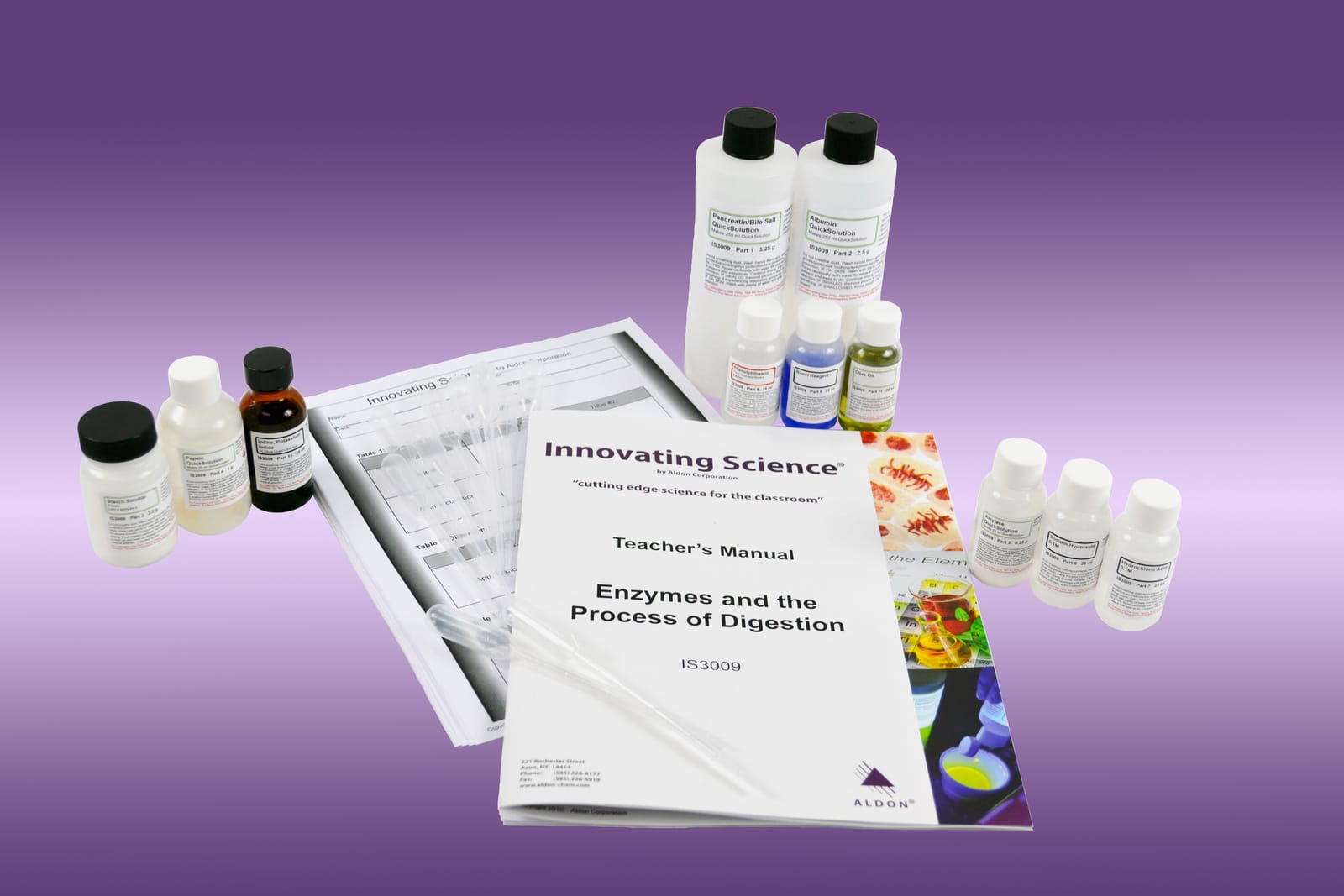 Innovating Science® Enzymes and the Process of Digestion