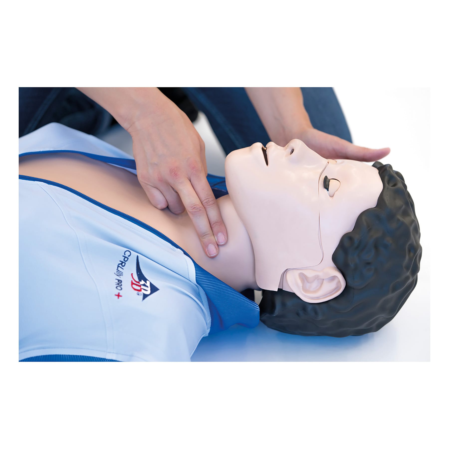 3B Scientific® CPR Lilly™