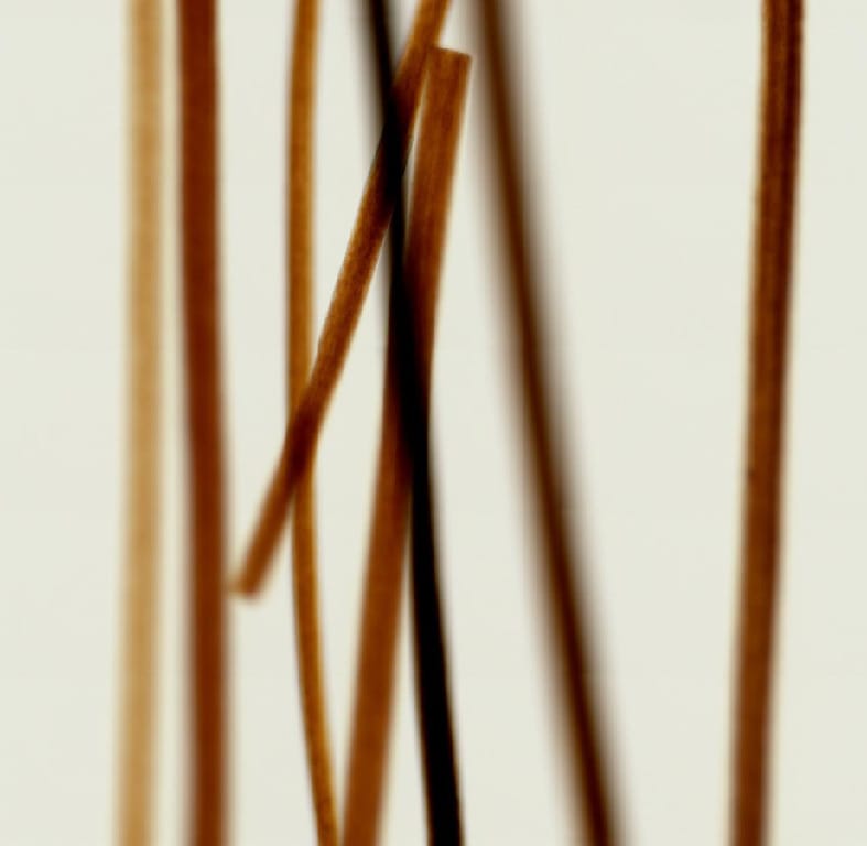 Ward's® Whole-Mounted Hair Slides