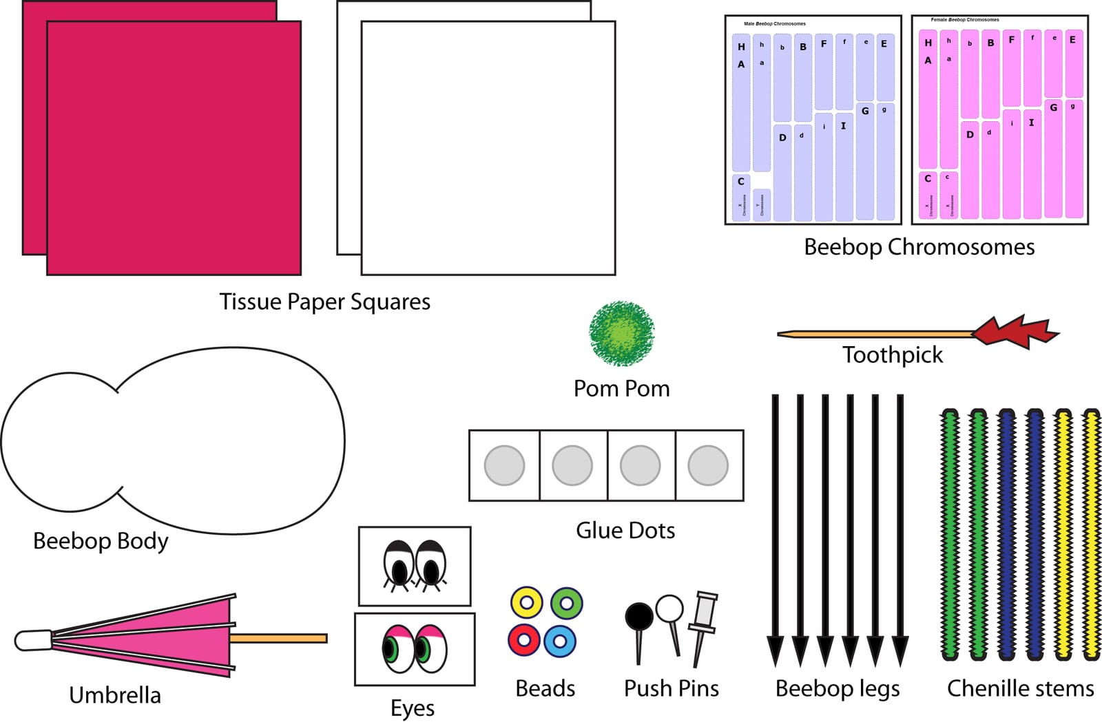 Science Take-Out® Beebops Genetics And Evolution