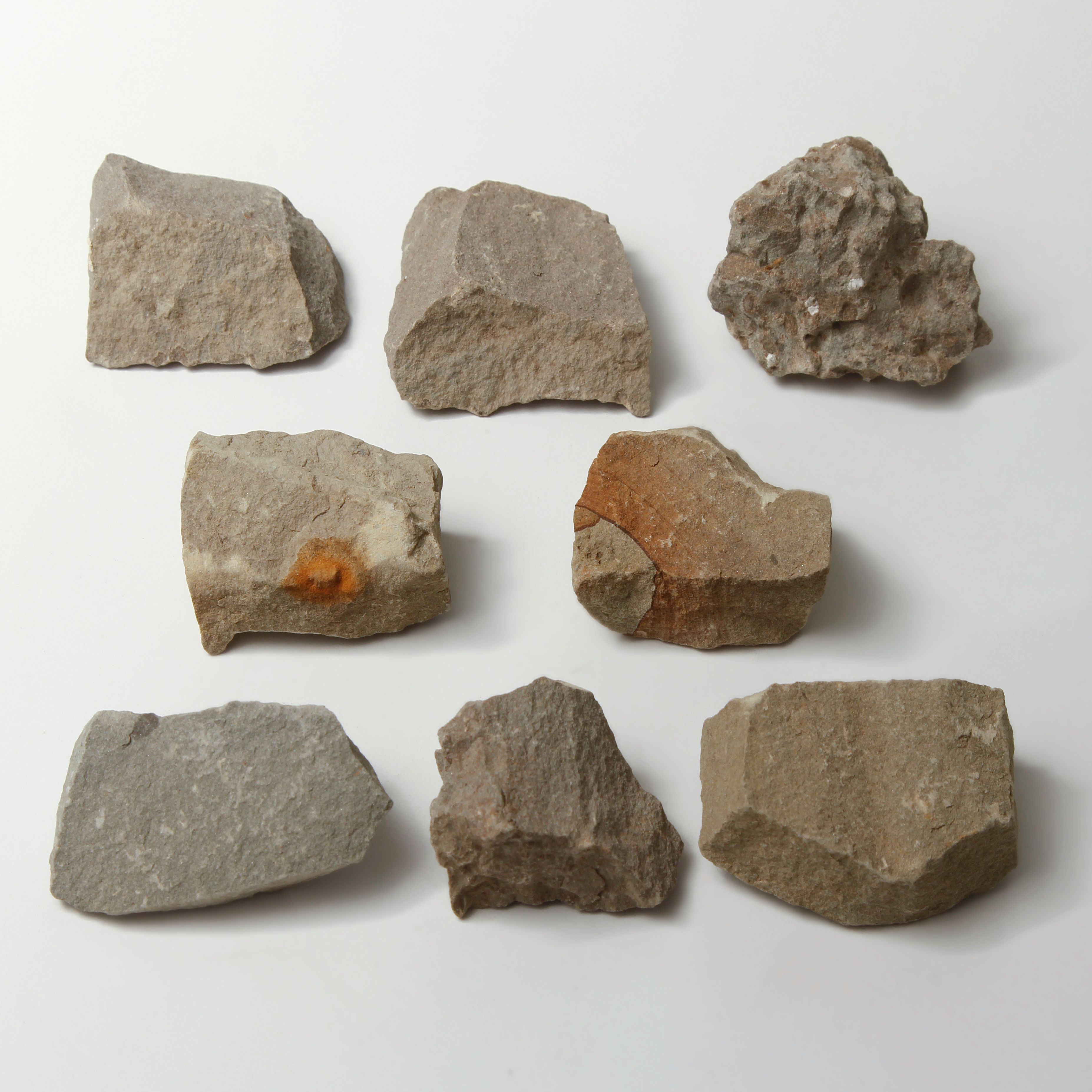 Ward's Science Essentials® Siltstone