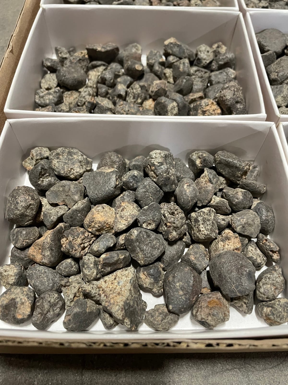 Ward's® Mini Chondrite Starter Pack