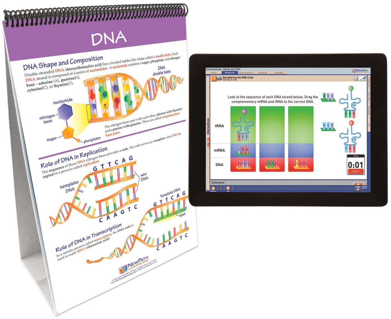 NewPath® Life Science Skill Builder Flip Charts with Multimedia Lessons