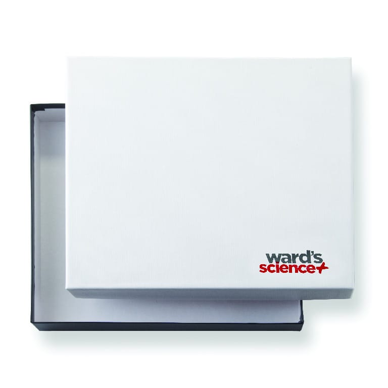 Ward's® Rock and Mineral Boxes