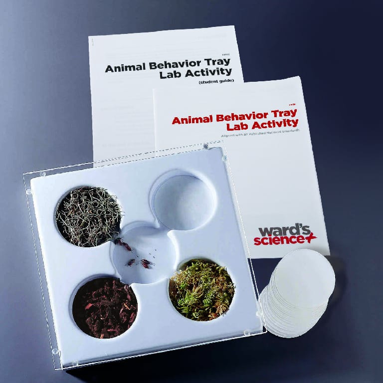 Animal Behavior Tray Lab Activity