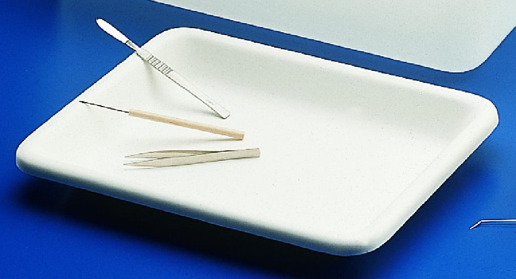 Plastic Trays