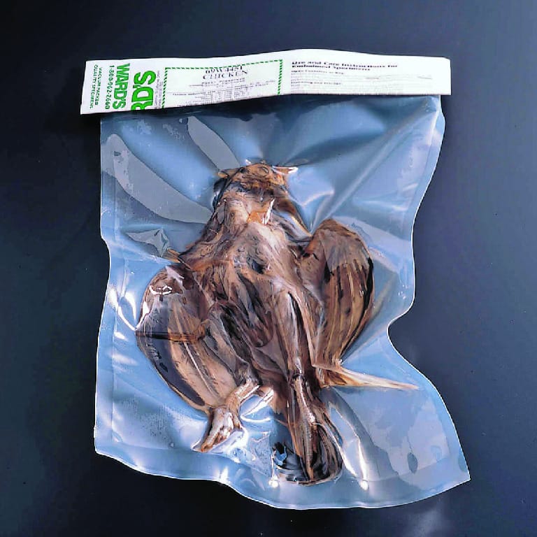 Preserved Chicken
