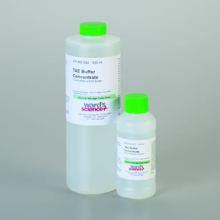 Tris-Acetate-EDTA Buffer