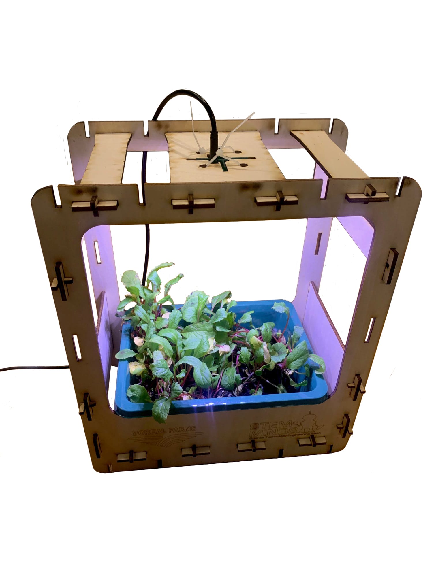 Kidder Farm in a Box Grow Kit
