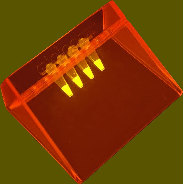miniPCR® blueGel™ Electrophoresis Unit