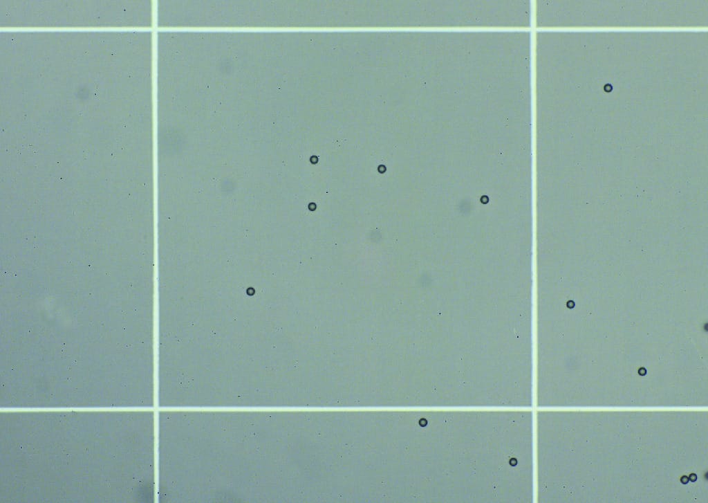 Ward's® White Blood Cell Counts as a Diagnostic Tool Lab Activity