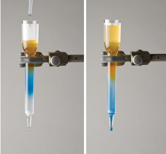 Principles of Gel Filtration Chromatography, Edvotek