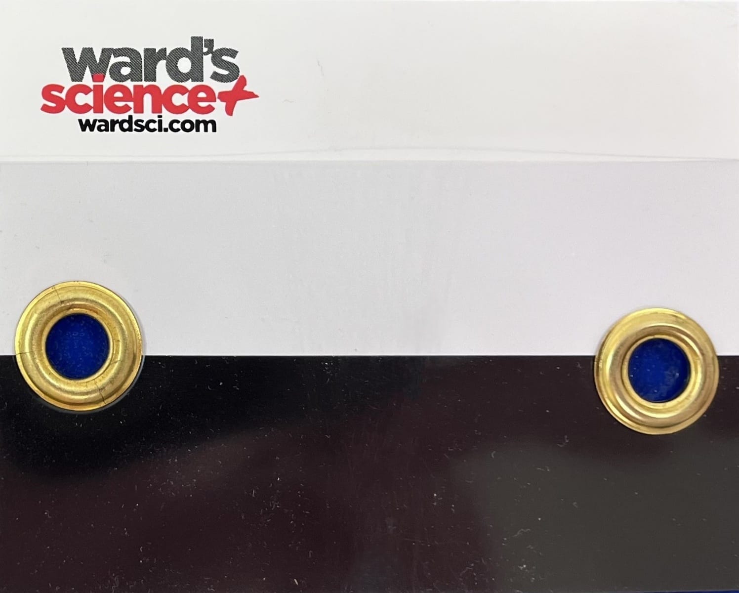 Ward's® Meniscus Reader