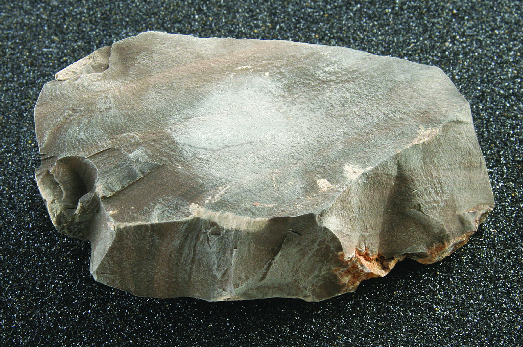Ward's® Shale (Oil)