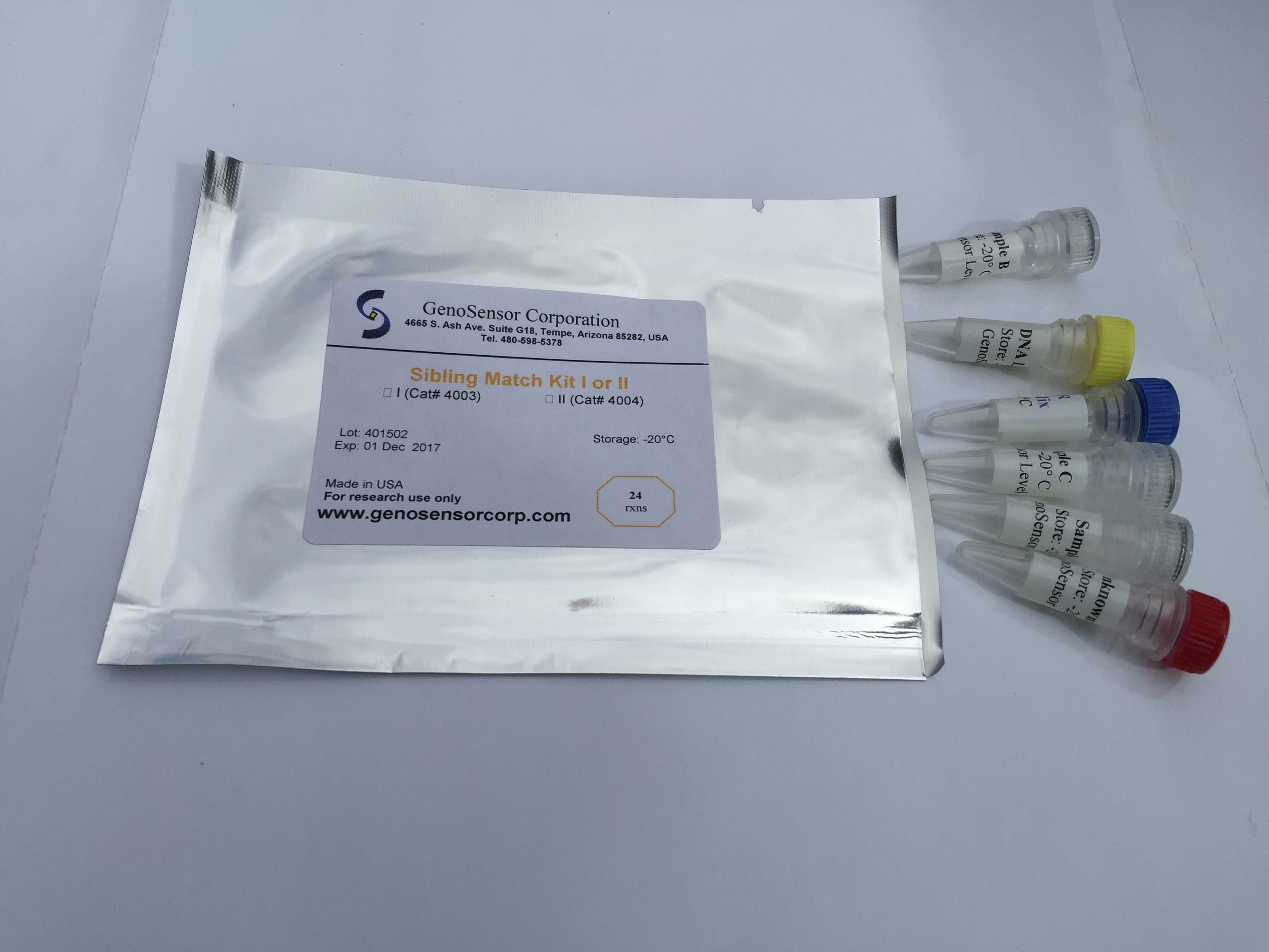 DNA Fingerprinting Kit: Reunite the Siblings